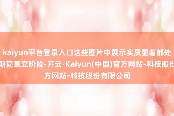 kaiyun平台登录入口这些图片中展示实质显着都处在突出早期简直立阶段-开云·Kaiyun(中国)官方网站-科技股份有限公司