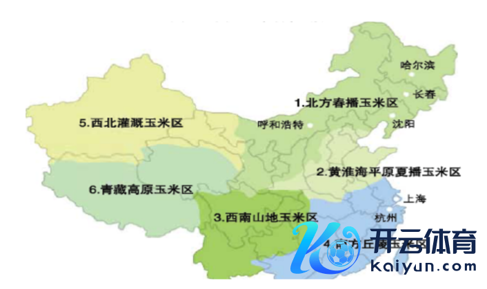 数据起头：紫金天风期货