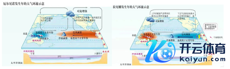 数据起头：公开贵寓整理、紫金天风期货