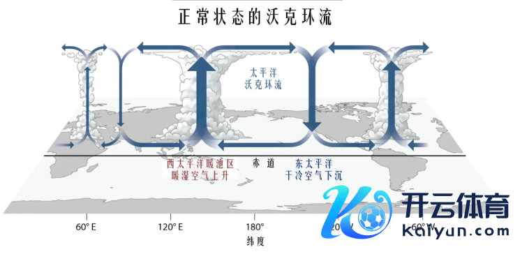 数据起头：公开贵寓整理、紫金天风期货