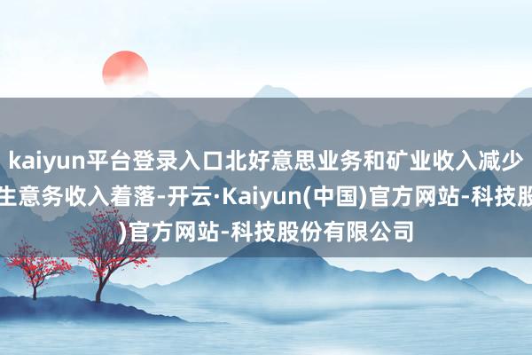 kaiyun平台登录入口北好意思业务和矿业收入减少导致本期主生意务收入着落-开云·Kaiyun(中国)官方网站-科技股份有限公司