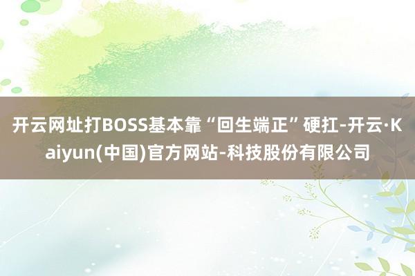 开云网址打BOSS基本靠“回生端正”硬扛-开云·Kaiyun(中国)官方网站-科技股份有限公司