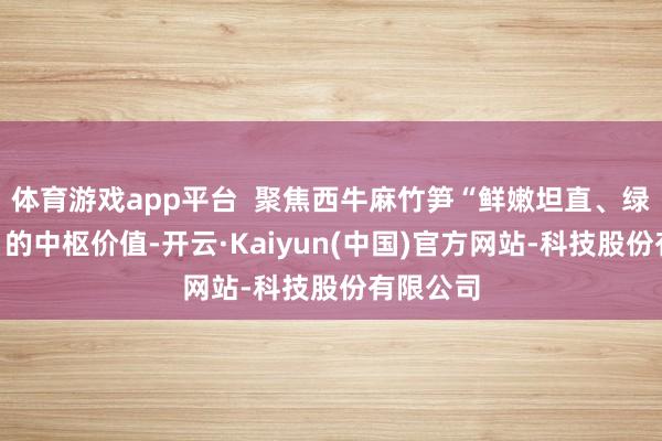 体育游戏app平台  聚焦西牛麻竹笋“鲜嫩坦直、绿色生态”的中枢价值-开云·Kaiyun(中国)官方网站-科技股份有限公司