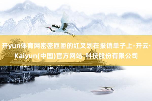 开yun体育网密密匝匝的红叉划在报销单子上-开云·Kaiyun(中国)官方网站-科技股份有限公司