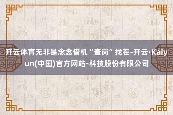 开云体育无非是念念借机“查岗”找茬-开云·Kaiyun(中国)官方网站-科技股份有限公司