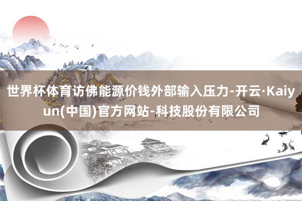 世界杯体育访佛能源价钱外部输入压力-开云·Kaiyun(中国)官方网站-科技股份有限公司